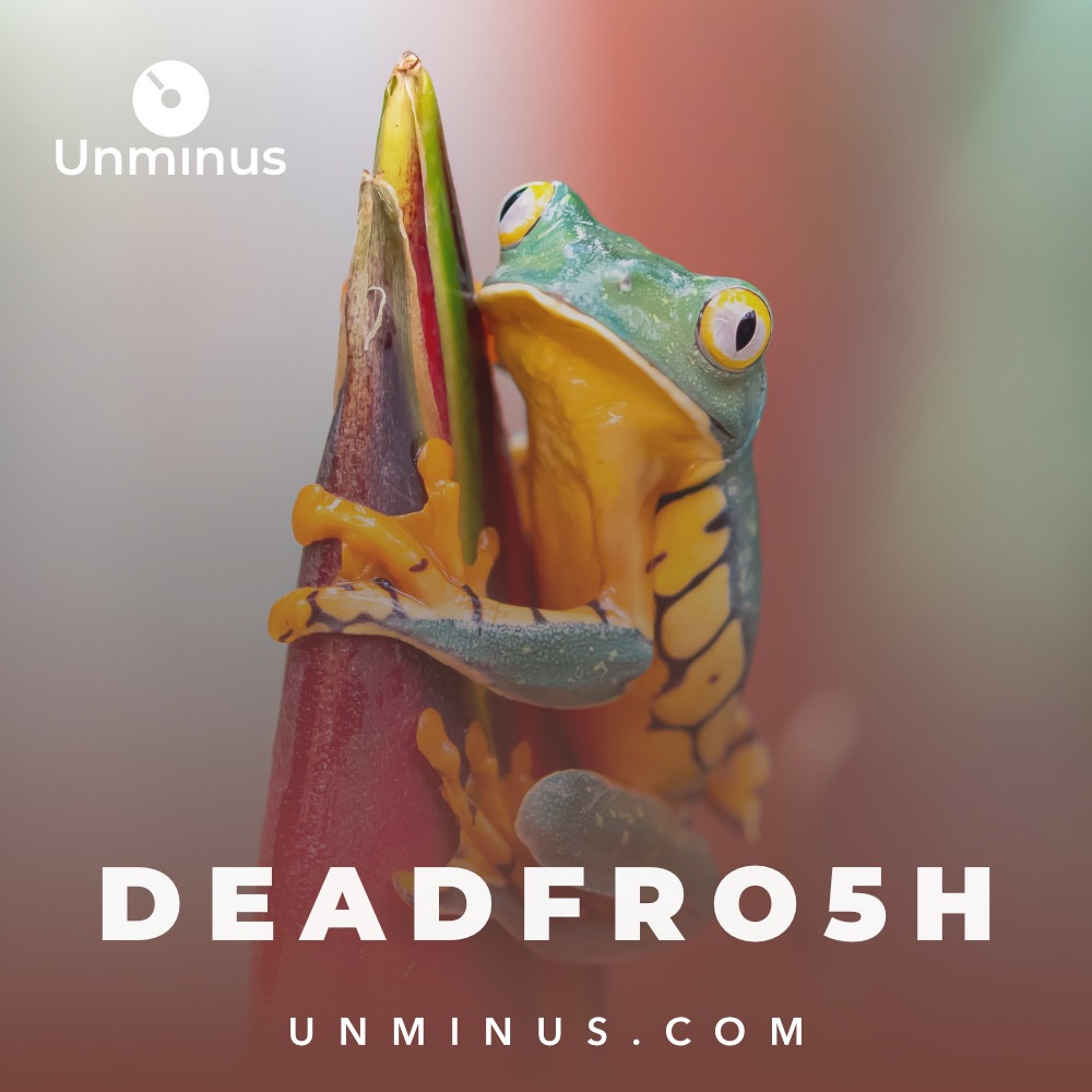 Free Premium Music for Everyone