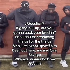 Dri Fit x Freddy & Jason Flip (Question, Are You Gonna Back Your Bredrin) [Tiktok Remix].mp3