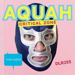 DLR355 Aquah - Critical Zone