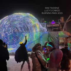 Burning Man 2023_Lucy S Cargo