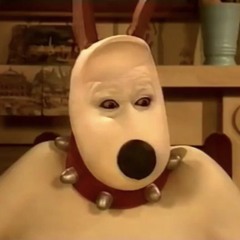 what what what what what what what yo yoyoy yo yoo y what what