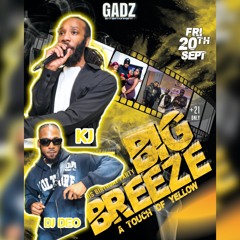 GADZ ENT' BIG BREEZE PARTY ft DJ DEO & KJ 20/9/24