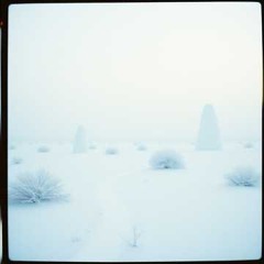 Frosted Echoes