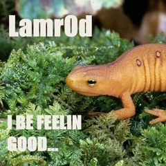 I BE FEELIN GOOD