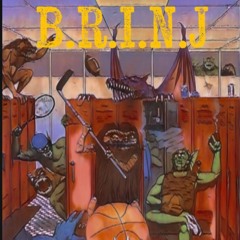 B.R.I.N.J