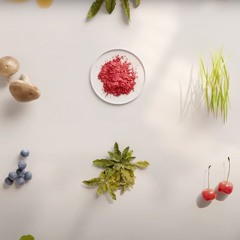 AG1 - "Whole Body Health"