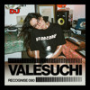 Recognise 90: Valesuchi DJ mix artwork - Electronic music tracklist cover image