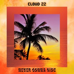 Never Gonna Hide
