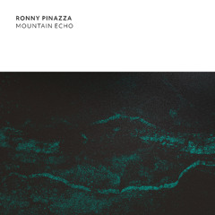 PREMIERE: Ronny Pinazza - Cave (Alex Tirelli Remix) [Indefinite Pitch]