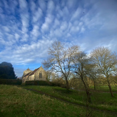 Silk/Steel string guitar