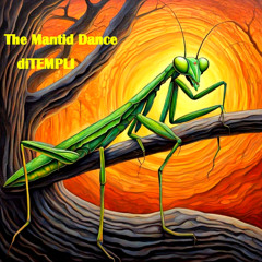The Mantid Dance
