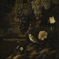 Carl Friedrich Abel - Adagio In D Minor, WKO 209