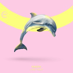Kailyu - Like That (Extended Mix)🐬