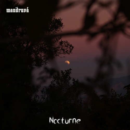 mandruvá - Night Orchestra