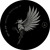 Artwork for TL PREMIERE : sin:it:sin - Infoseek [Electro Music Coalition]