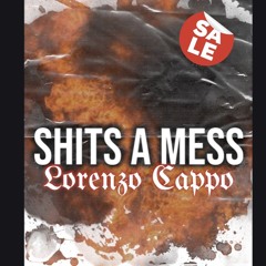 SHITS A MESS