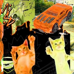 Go Kitty Go! (acidawg remix)