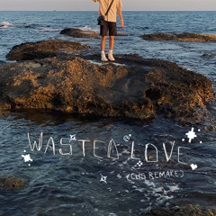 Aries - WASTED LOVE (cus remake)