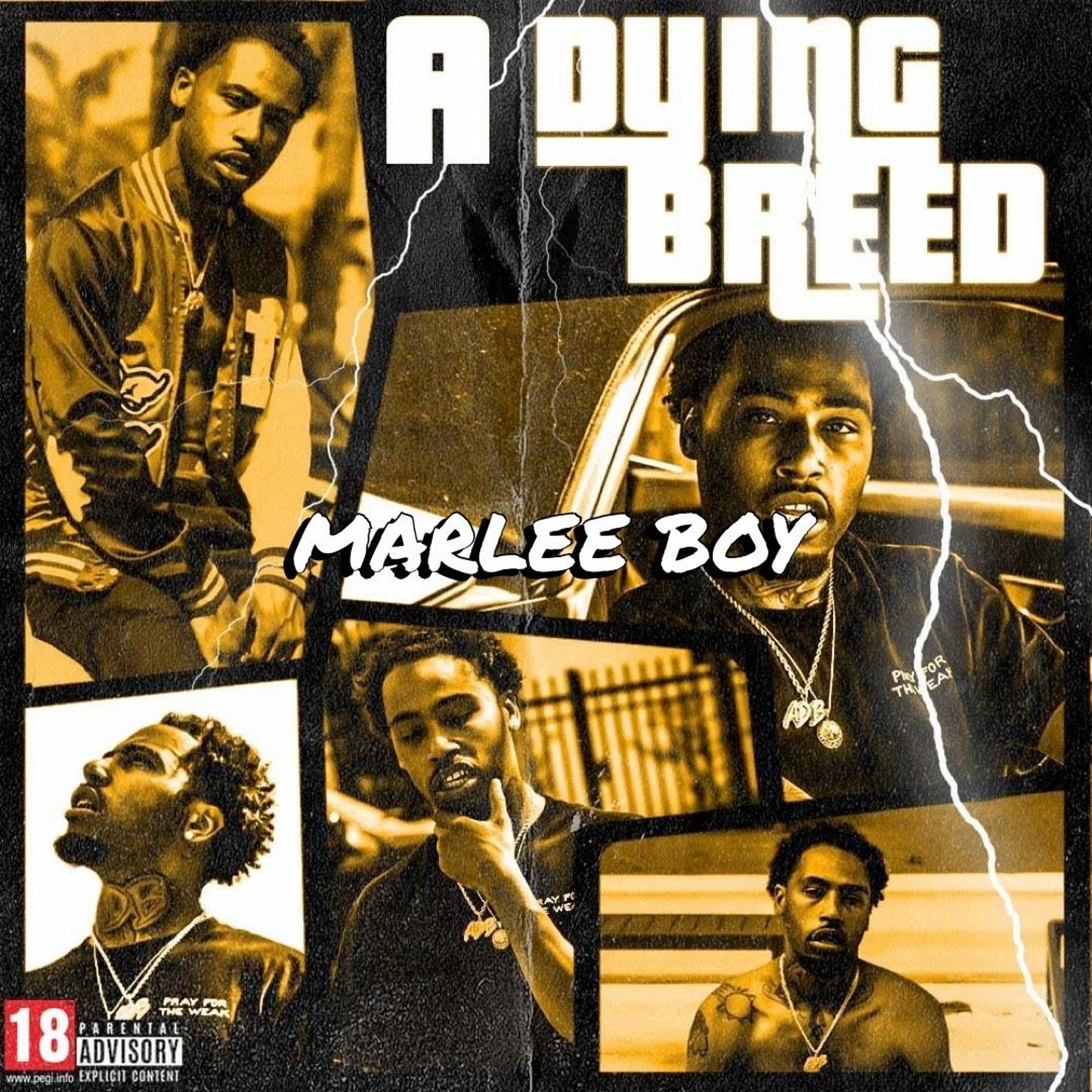 Marlee Boy - Puddle [BayAreaCompass] episode artwork