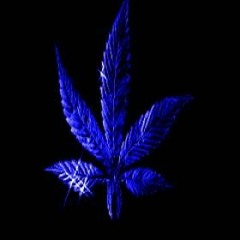 Dnd Ghost+my head is a jungle