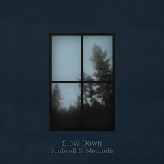 Soulwell & Mequidis - Slow Down