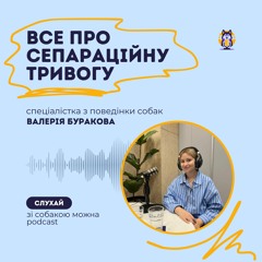 Сепараційна тривога собаки схожа на панічну атаку людини?