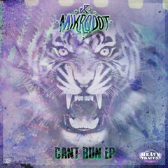 Mikrodot feat. Grundy - Cant' Run EP - HTRD031 Showreel
