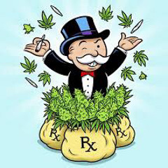 Kidd Kiwi - A Spliff A Day