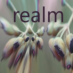 Realm