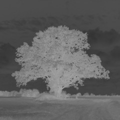 Fuchs & Geislein - OBIS 1-1:2.29.0