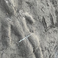 babyzhigaa -  dva regiona prod.nvx (demo)