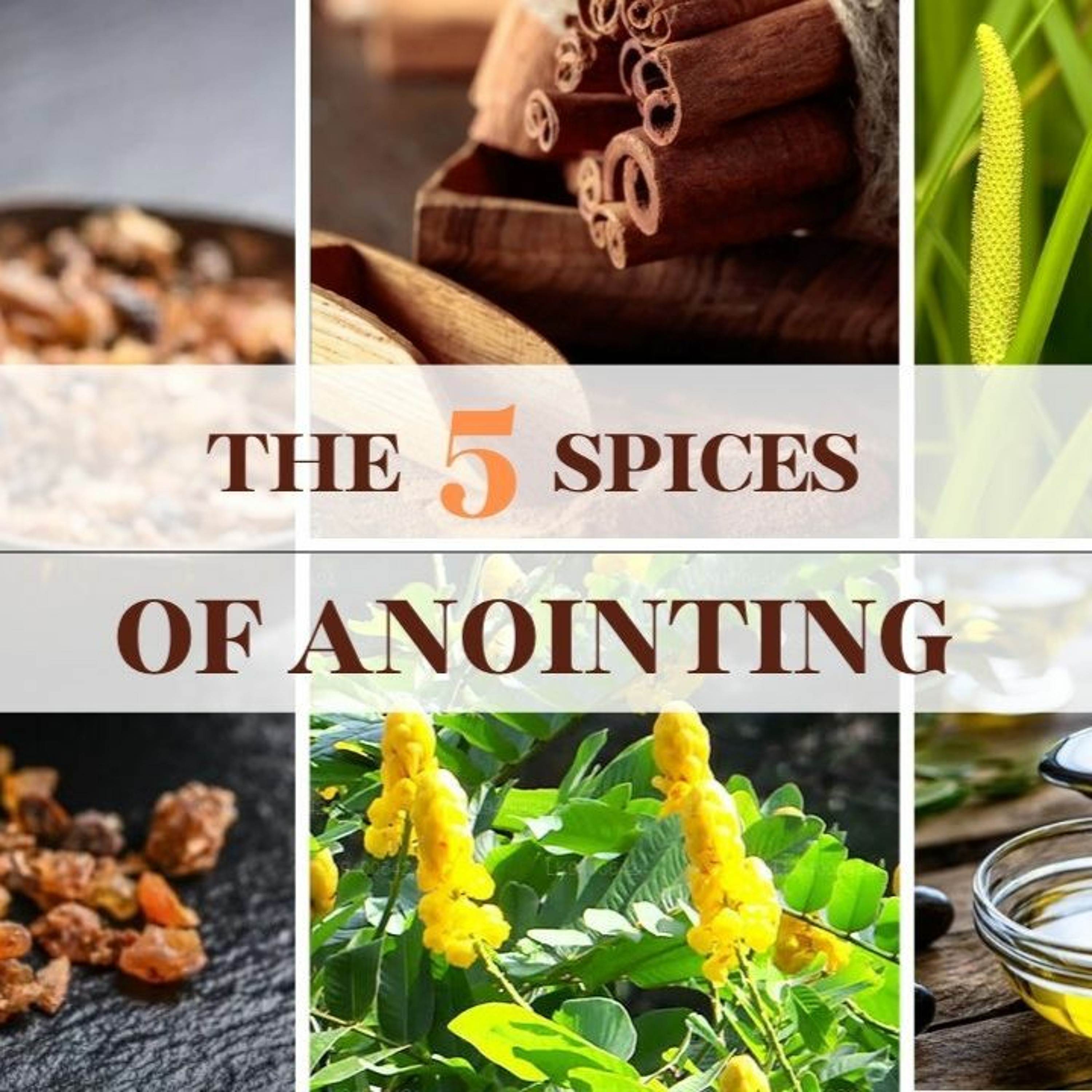 The 5 Spices of Anointing // Pas Subash Cherian episode artwork