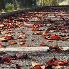 Street