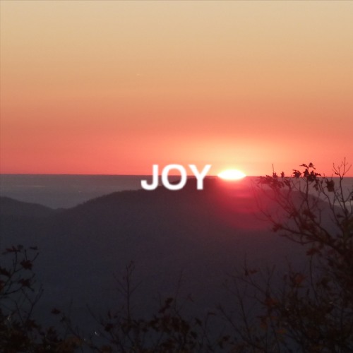 JOY