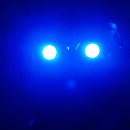 ＴＨＩＣＣw/RICED TEA