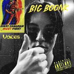 Voices (ft. YVNG SNØW)(prod. cadence)