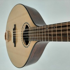 Nyberg Mini-Cittern in CGDAE. Hond Rswd & Lutz spr