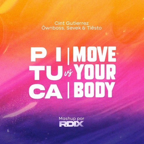 Cint Gutierrez Vs. Öwnboss, Sevek, Tiësto - Pituca Vs. Move Your Body (RDIX Mashup)