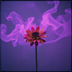 Forget me, forget! #7