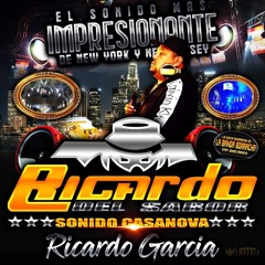 LA CUMBIA DE LAS CAMPANITAS EN VIVO RICARDO DEL SABOR