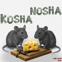 kosha nosha Kedi x Azr