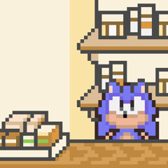 Buy Somethin' Sonic Will Ya!