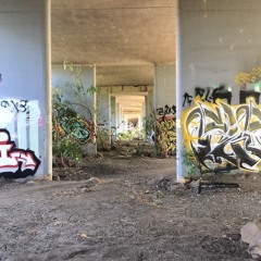 pig squealin fARTnoise