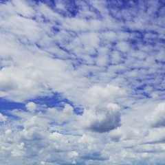 BLUE SKY HIGH