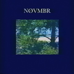 Video Camera