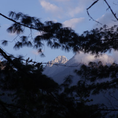 Pure Rezone - Transcendental Dawn (N2D Retro Goa)