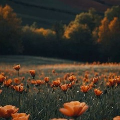 The Bible is a Romance