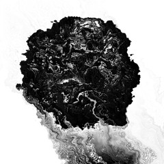 IN OBSIDIAN __ WE ARE ATOM (FULL ALBUM) 2017