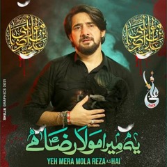 Yeh Mera Mola Reza (a.s) Hai  --  Farhan Ali Waris  --  2021