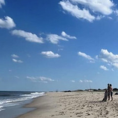 Summer Is More Funner